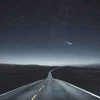 向星